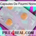 Black Ant Capsules 24